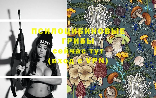 спайс Верея