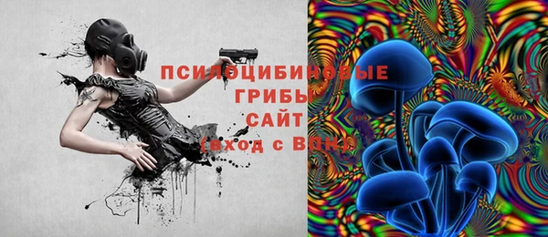 мет Бородино