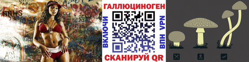 цены наркотик  Дальнереченск  Псилоцибиновые грибы Magic Shrooms 